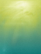Surfacing, copyright 2007 by Leila Singleton